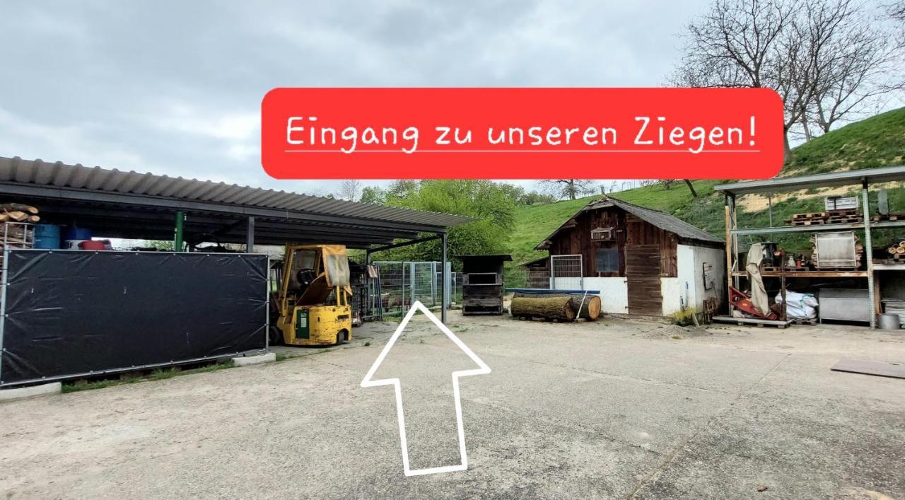Ferienwohnung/Monteurwohnung Im Schoenen Odenwald Moerlenbach Екстер'єр фото